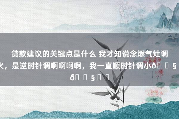 贷款建议的关键点是什么 我才知说念燃气灶调小火，是逆时针调啊啊啊啊，我一直顺时针调小😧 ​​