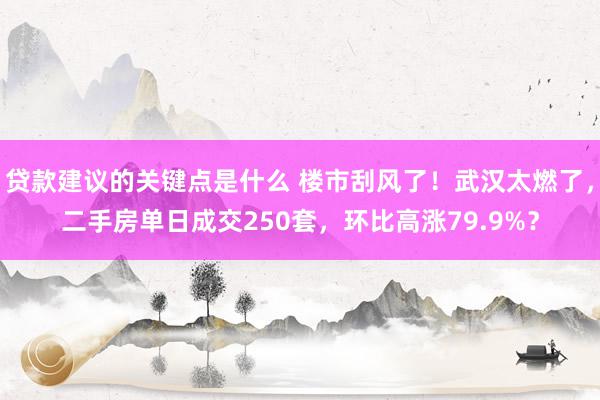 贷款建议的关键点是什么 楼市刮风了！武汉太燃了，二手房单日成交250套，环比高涨79.9%？