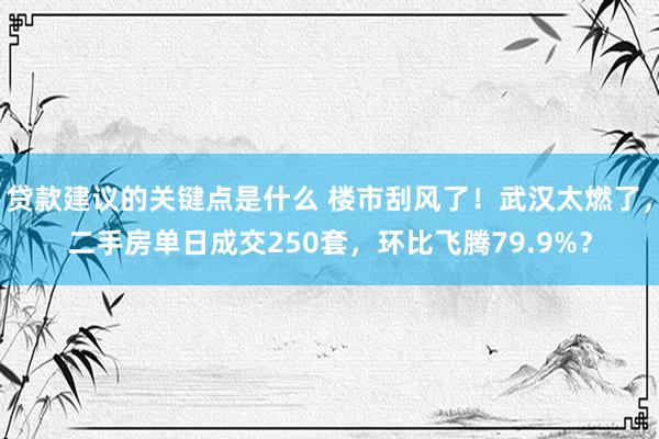 贷款建议的关键点是什么 楼市刮风了！武汉太燃了，二手房单日成交250套，环比飞腾79.9%？