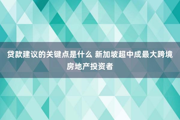 贷款建议的关键点是什么 新加坡超中成最大跨境房地产投资者