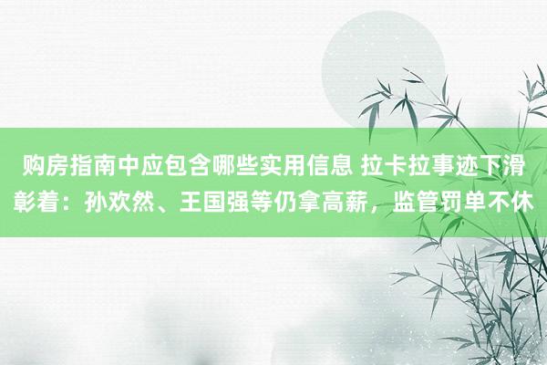 购房指南中应包含哪些实用信息 拉卡拉事迹下滑彰着：孙欢然、王国强等仍拿高薪，监管罚单不休