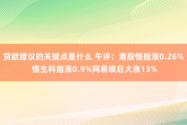 贷款建议的关键点是什么 午评：港股恒指涨0.26% 恒生科指涨0.9%网易绩后大涨13%