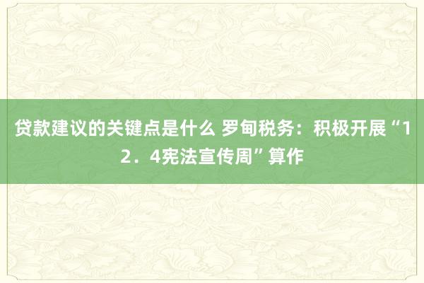 贷款建议的关键点是什么 罗甸税务：积极开展“12．4宪法宣传周”算作