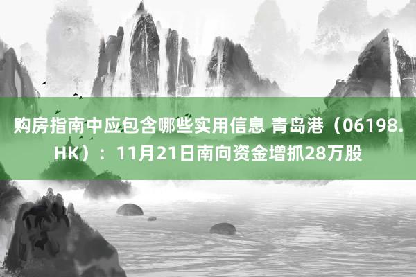 购房指南中应包含哪些实用信息 青岛港（06198.HK）：11月21日南向资金增抓28万股