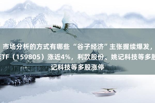 市场分析的方式有哪些 “谷子经济”主张握续爆发，传媒ETF（159805）涨近4%，利欧股份、姚记科技等多股涨停