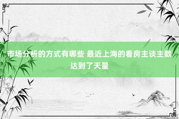 市场分析的方式有哪些 最近上海的看房主谈主数达到了天量