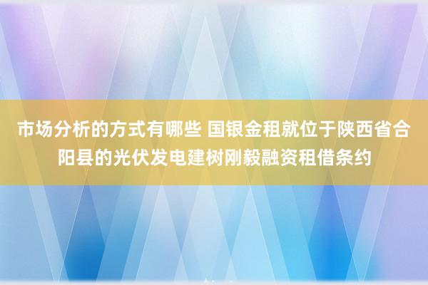 市场分析的方式有哪些 国银金租就位于陕西省合阳县的光伏发电建树刚毅融资租借条约