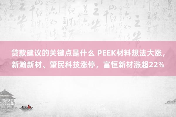 贷款建议的关键点是什么 PEEK材料想法大涨，新瀚新材、肇民科技涨停，富恒新材涨超22%