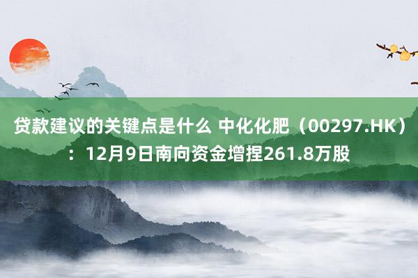 贷款建议的关键点是什么 中化化肥（00297.HK）：12月9日南向资金增捏261.8万股