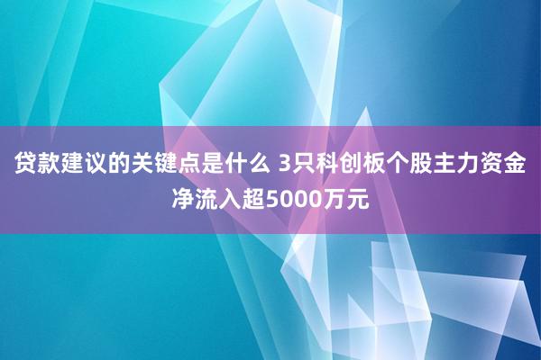 贷款建议的关键点是什么 3只科创板个股主力资金净流入超5000万元