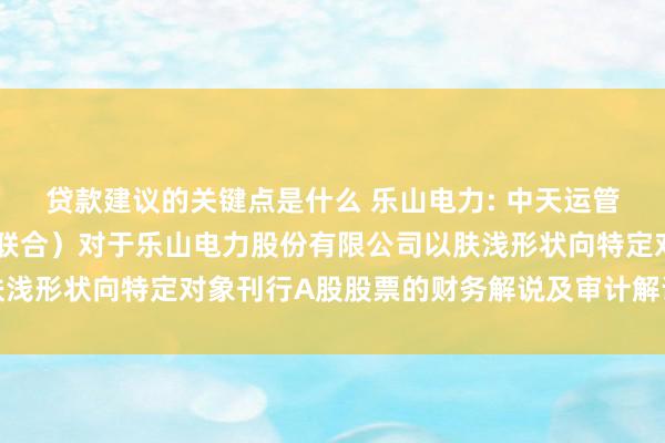 贷款建议的关键点是什么 乐山电力: 中天运管帐师事务所（特地平常联合）对于乐山电力股份有限公司以肤浅形状向特定对象刊行A股股票的财务解说及审计解说实质选录