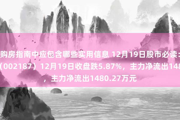 购房指南中应包含哪些实用信息 12月19日股市必读：广百股份（002187）12月19日收盘跌5.87%，主力净流出1480.27万元