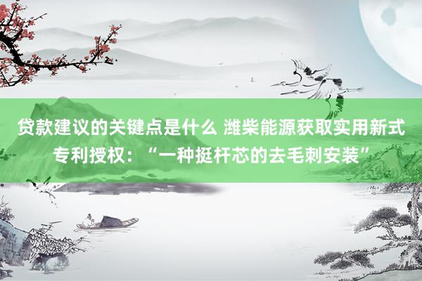 贷款建议的关键点是什么 潍柴能源获取实用新式专利授权：“一种挺杆芯的去毛刺安装”