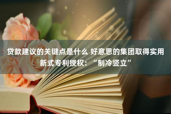 贷款建议的关键点是什么 好意思的集团取得实用新式专利授权：“制冷竖立”