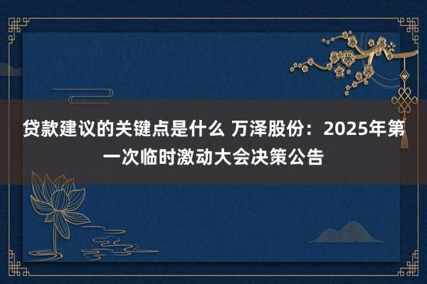 贷款建议的关键点是什么 万泽股份：2025年第一次临时激动大会决策公告