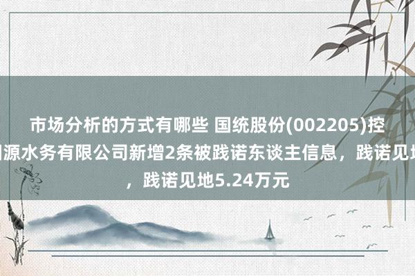 市场分析的方式有哪些 国统股份(002205)控股的海南国源水务有限公司新增2条被践诺东谈主信息，践诺见地5.24万元