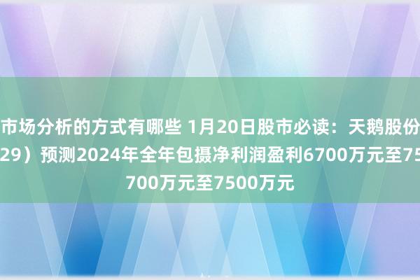 市场分析的方式有哪些 1月20日股市必读：天鹅股份（603029）预测2024年全年包摄净利润盈利6700万元至7500万元