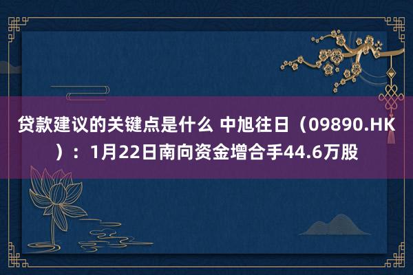 贷款建议的关键点是什么 中旭往日（09890.HK）：1月22日南向资金增合手44.6万股