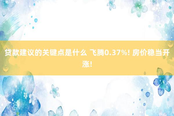 贷款建议的关键点是什么 飞腾0.37%! 房价稳当开涨!