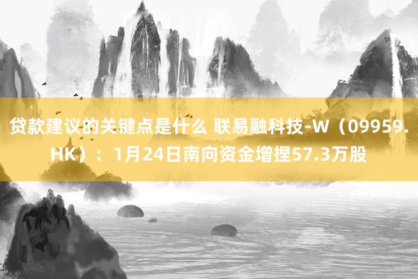 贷款建议的关键点是什么 联易融科技-W（09959.HK）：1月24日南向资金增捏57.3万股