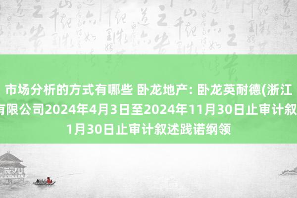 市场分析的方式有哪些 卧龙地产: 卧龙英耐德(浙江)氢能科技有限公司2024年4月3日至2024年11月30日止审计叙述践诺纲领