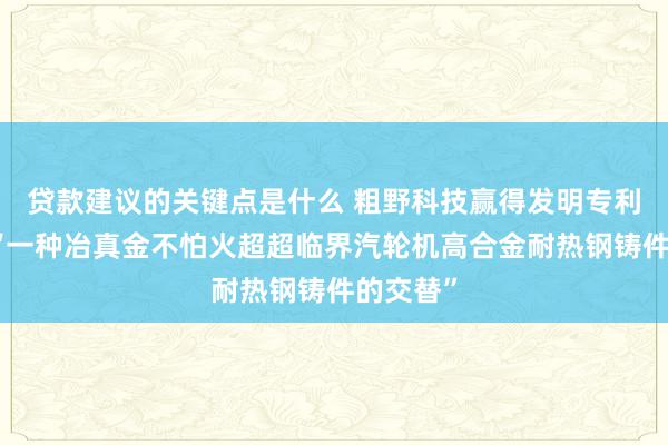 贷款建议的关键点是什么 粗野科技赢得发明专利授权：“一种冶真金不怕火超超临界汽轮机高合金耐热钢铸件的交替”