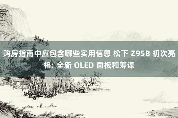 购房指南中应包含哪些实用信息 松下 Z95B 初次亮相: 全新 OLED 面板和筹谋