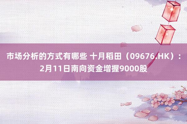 市场分析的方式有哪些 十月稻田（09676.HK）：2月11日南向资金增握9000股