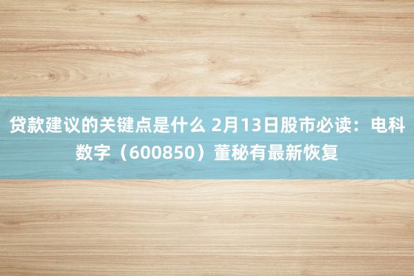 贷款建议的关键点是什么 2月13日股市必读：电科数字（600850）董秘有最新恢复