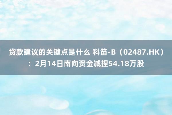 贷款建议的关键点是什么 科笛-B（02487.HK）：2月14日南向资金减捏54.18万股