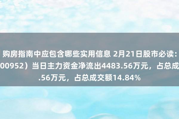 购房指南中应包含哪些实用信息 2月21日股市必读：恒辉安防（300952）当日主力资金净流出4483.56万元，占总成交额14.84%