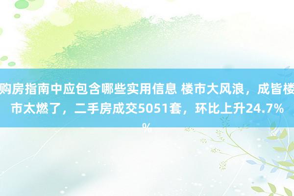 购房指南中应包含哪些实用信息 楼市大风浪，成皆楼市太燃了，二手房成交5051套，环比上升24.7%