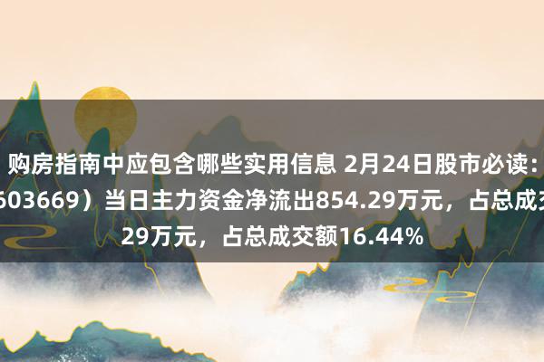 购房指南中应包含哪些实用信息 2月24日股市必读：灵康药业（603669）当日主力资金净流出854.29万元，占总成交额16.44%