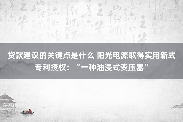 贷款建议的关键点是什么 阳光电源取得实用新式专利授权：“一种油浸式变压器”